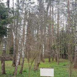 Фото Отель Дилижанс