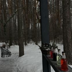 Фото Отель Сова