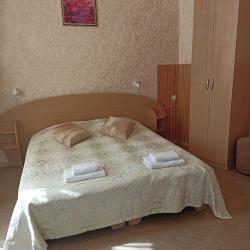 2-местный номер стандарт улучшенный с 1 двуспальной кроватью