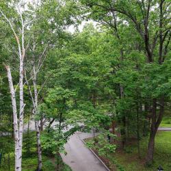 Фото Aurora Park Hotel (Аврора Парк Отель)