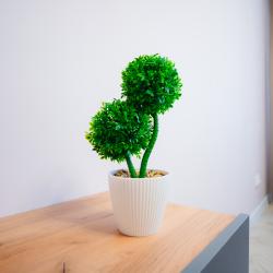 Фото Отель Уютная однокомнатная квартира apart-hotel Kömfi