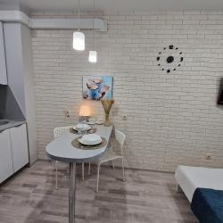 1-комнатные апартаменты студия с диваном-кроватью (15 этаж)