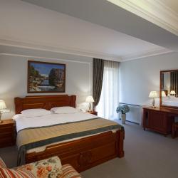 Номер делюкс с инфракрасной сауной № 17, 22 (Новый корпус)