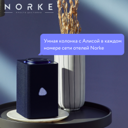 Номер студия эконом