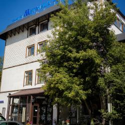 Фото Отель Метелица