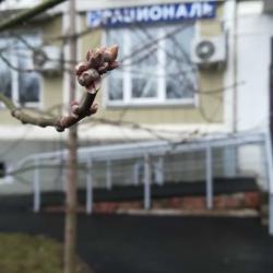 фото 9 Рациональ Кутузовский