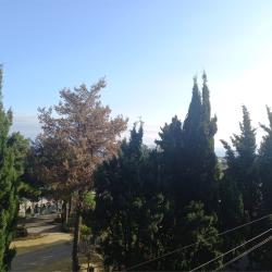 VK Hotel Royal (ВК Роял) — 700c3e0dce2015cc12bf18eb540b9ebe