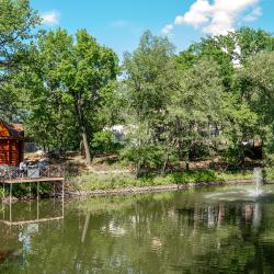 Фото Отель Санаторий Фрунзенец