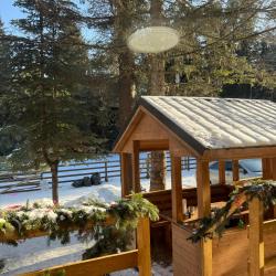 Фото Отель Greenhouse 1599 (ГринХаус 1599)