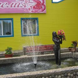 Фото Отель Камелия