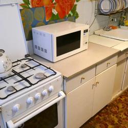 Фото Апартаменты на проспекте Ленина 186 корпус 3