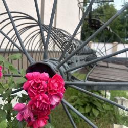 Фото Отель Восточная Пруссия