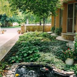 Фото Отель Берег