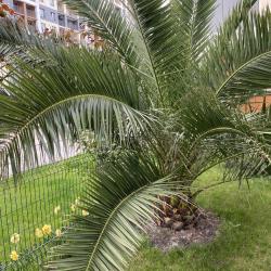 Фото Апартаменты на улице Старошессейная