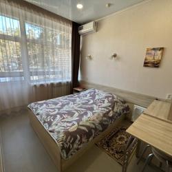 Номер делюкс с 1 двуспальной кровать и балконом