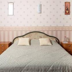 Номер полулюкс с 1 двуспальной кроватью