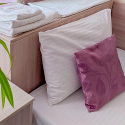 Номер стандарт семейный