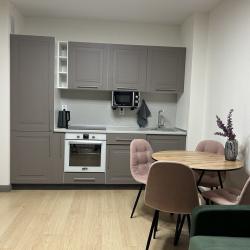 1-комнатные апартаменты улучшенные 2я Оранжерейная 4Ак1