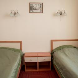 фото 29 Гостиница Всероссийского Научно-Исследовательского Геологического Института им. А.П. Карпинского (ВСЕГЕИ)