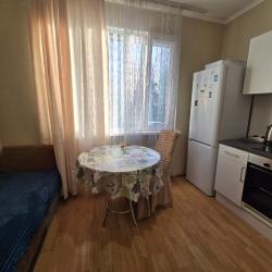 Фото Апартаменты на улице Курыжова 19к1