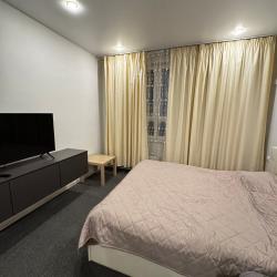 Фото Апартаменты на проспекте Луначарского 55