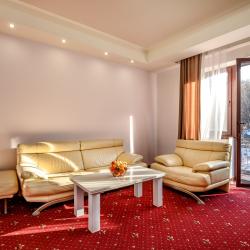 Номер полулюкс с 1 двуспальной кроватью