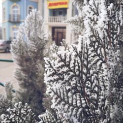 Фото Отель Добриан