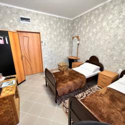 Фото Отель Викинг