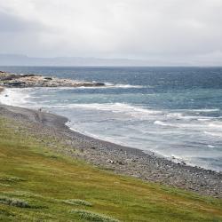 Фото Отель Тундра Хаус