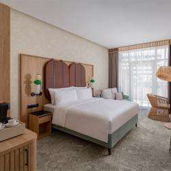 Номер делюкс с 1 двуспальной кроватью и видом на бассейн