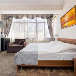 Комната стандарт с 1 двуспальной кроватью