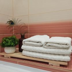 2-комнатные апартаменты улучшенные ул. Дуки 71