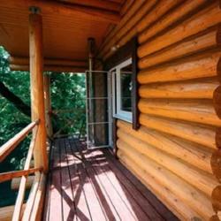 Фото Отель Дома в лесу