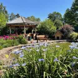 Фото Отель Lobnya Village ( Вилладж)