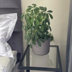 Фото Апартаменты на улице Амбровая