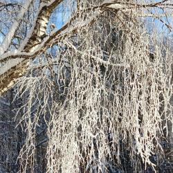 Фото Отель Гостевой дом Брейтово