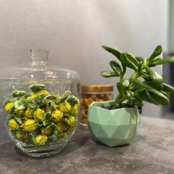 Фото Апартаменты на улице Аделя Кутуя 110Е