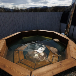 Фото Отель Долина