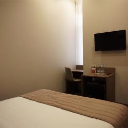 Номер стандарт с 1 двуспальной кроватью (вид на улицу)