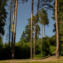 Фото Отель Актер Руза