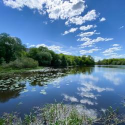 Фото Отель Уют Home (Хоум) на Мадонской