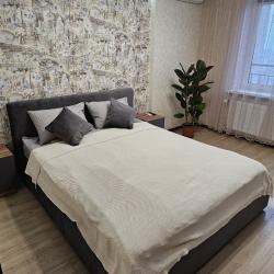 Фото Апартаменты на улице им. Чернышевского Н.Г. 52Б