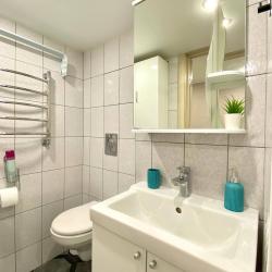 1-комнатные апартаменты улучшенные Grey