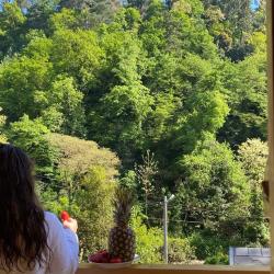 Фото Отель Lodge Korkmaz (Лоджи Коркмаз)