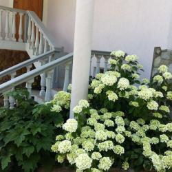 Фото Отель Гостевой Дом Нэста