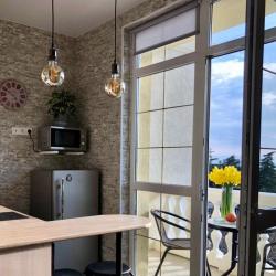 1-комнатные апартаменты с балконом и кухней