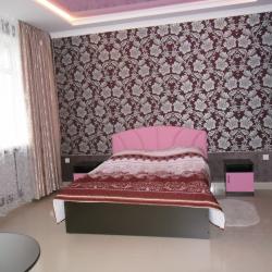 Фото Отель Аристократ