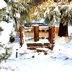 Фото Отель Дом