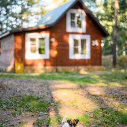 Фото Парк-отель Песчаный