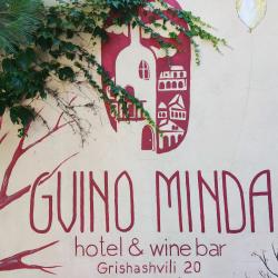 Фото Отель GvinoMinda Hotel (ГвиноМинда)